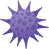 Varicella zoster virus (chickenpox)